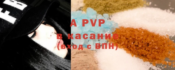 спиды Богданович