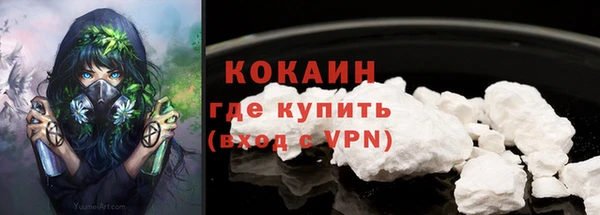 спиды Богданович