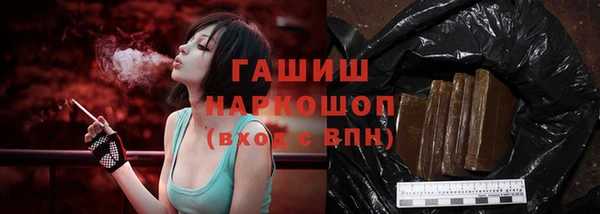 гидра Богородицк