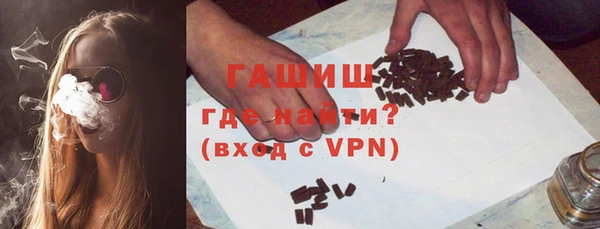 гидра Богородицк
