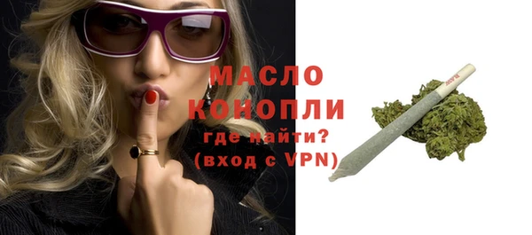 гидра Богородицк
