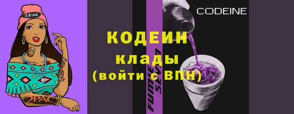 крисы Бронницы