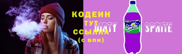 гидра Богородицк