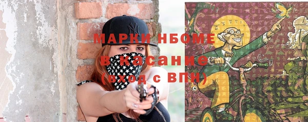 крисы Бронницы
