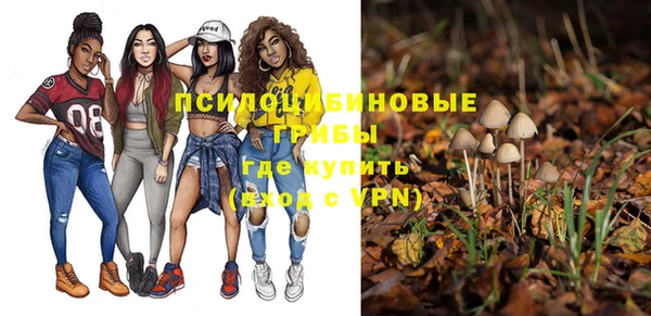 мяу мяу мука Богородск