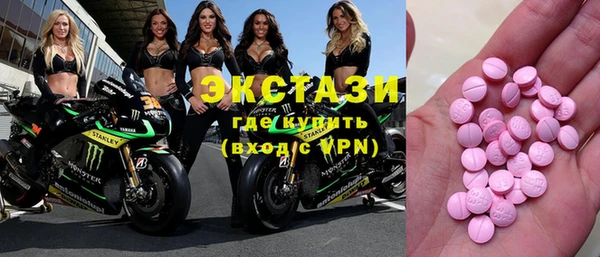 гидра Богородицк