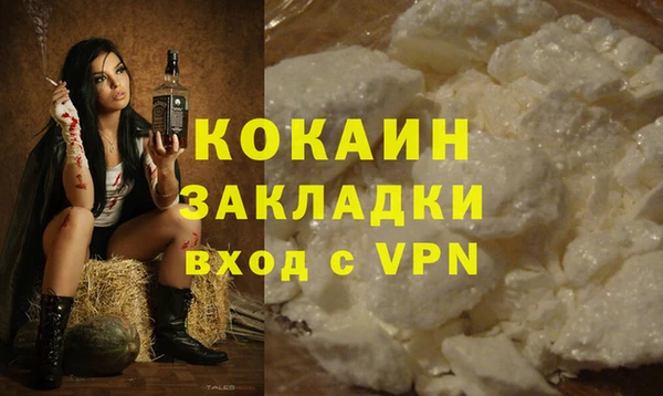 гидра Богородицк