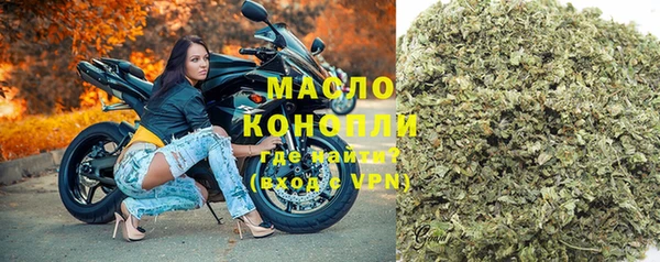 гидра Богородицк