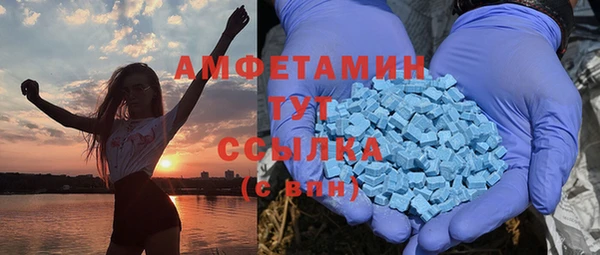 гидра Богородицк