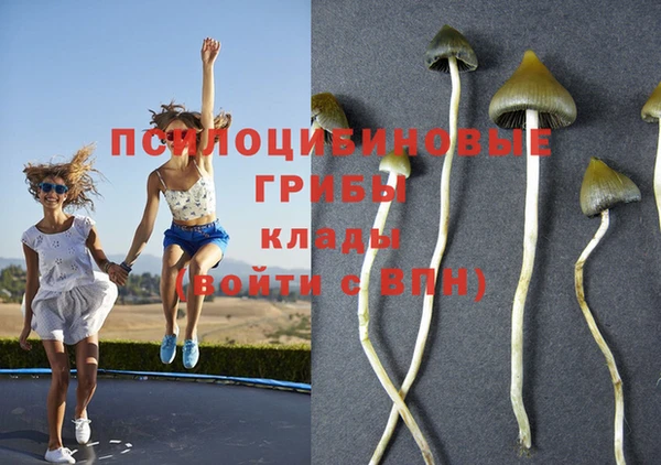 спиды Богданович