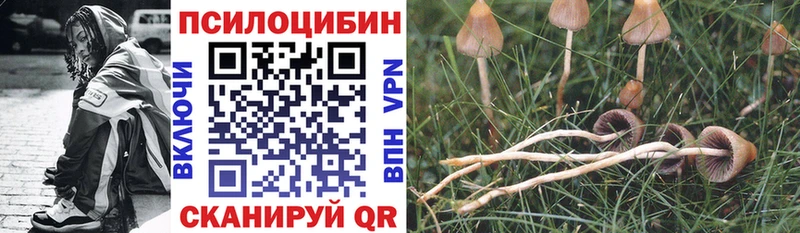 hydra как войти  как найти   Межгорье  Галлюциногенные грибы Magic Shrooms 