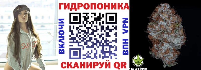 Бошки Шишки планчик  Межгорье 